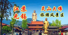 入小穴视频江苏无锡灵山大佛旅游风景区